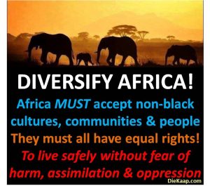 Diversify Africa