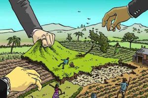 R100 000 reward for proof that land was stolen by farmers