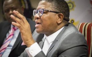 Fikile Mbalula: White farm attacks is just a big lie used by white people to make the country look bad