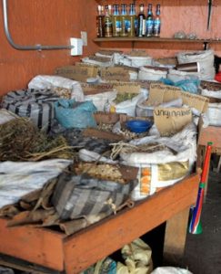 Human parts found at traditional healer’s house in Free State
