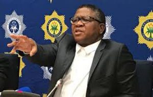 Mbalula issues call-up for more than 600 former ‘freedom fighters’