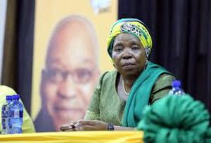 Dlamini-Zuma: "Whites stole the land from blacks and robbed the country"