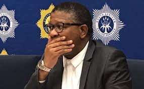 Blame it on the Gupta’s‚ chirps Mbalula of his Christmas holiday in Dubai