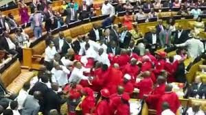 South-African Parliament a circus - Fight breaks out over minimum wage