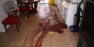 6 Farm attacks and 2 farm murders took place on Sunday, Man fatally shot, woman injured in Komatipoort farm attack