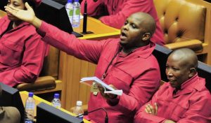 Abhorrent racism in EFF has deeper connotation