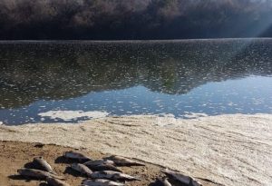 Raw sewage openly flows into Vaal River