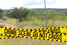 Mother of two raped in brutal farm attack near Pretoria