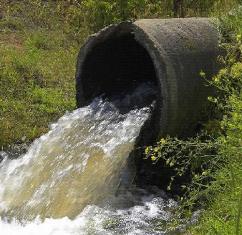 ANC –regime states that water supply in SA is sufficient to meet all demands although sewage pollution and no maintenance of municipal structures wastes millions of liters of water
