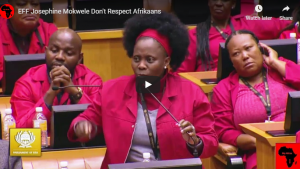 EFF clash with FF+ after member calls Afrikaans a “disturbing” language during arts and culture budget debate