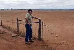 Farmers in SA are left on their own to fight against forces of nature, only fellow farmers have sympathy