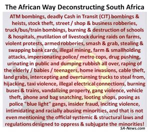 Gatvol deconstructing south africa