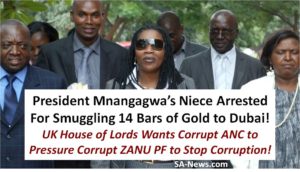 UK House of Lords Want UK, EU & ANC Regime To Act Against ZANU PF Corruption & Violence in Zimbabwe!