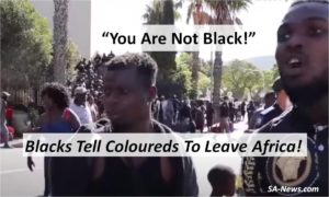 Your Are Not Black
