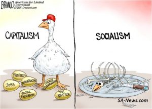 Socialism vs capitalism golden goose
