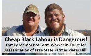 Cheap Black Labour Kills