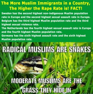 Muslim rape